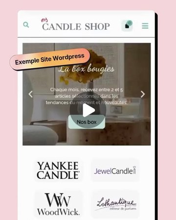 Boutique en ligne WordPress ou Shopify